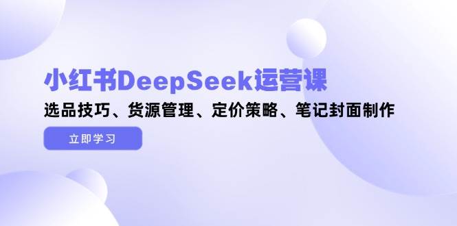 小红书DeepSeek运营课，选品技巧、货源管理、定价策略、笔记封面制作-徐小晨博客