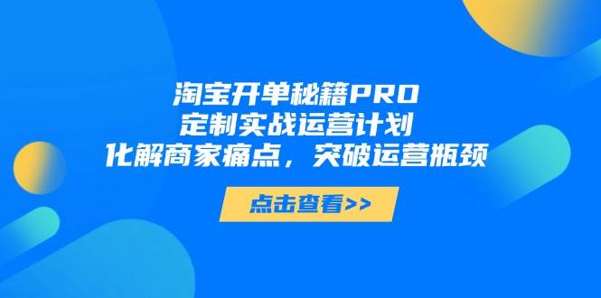 淘宝开单秘籍PRO，定制实战运营计划，化解商家痛点，突破运营瓶颈-徐小晨博客
