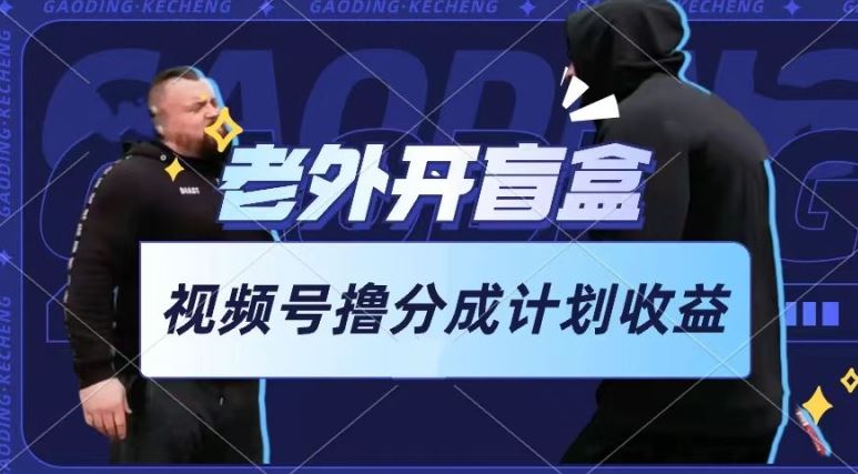 老外开盲盒视频，撸视频号分成计划收益，每天只需一小时，新手小白轻松上手【揭秘】-徐小晨博客