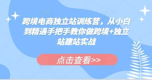 跨境电商独立站训练营，从小白到精通手把手教你做跨境+独立站建站实战-徐小晨博客
