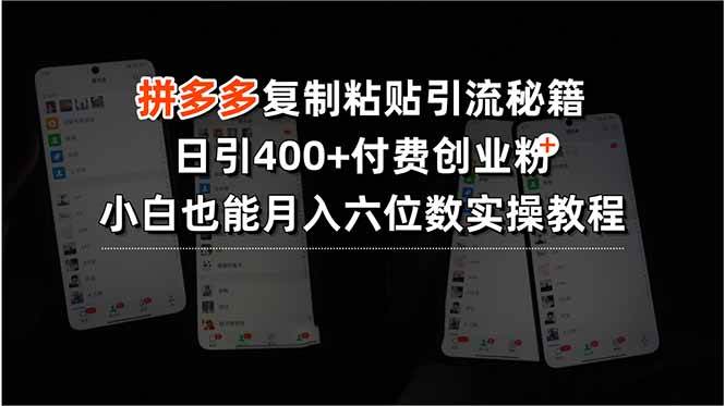 拼多多复制粘贴引流秘籍，日引400+付费创业粉，小白也能月入六位数实操…-徐小晨博客
