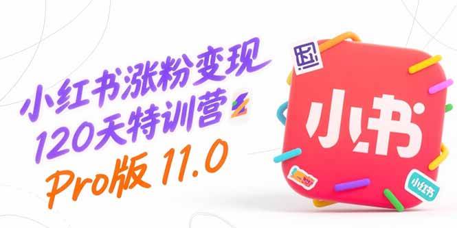 小红书涨粉变现120天特训营Pro版11.0：从0到1掌握平台运营,内容制作和变现-徐小晨博客