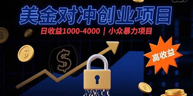 美金对冲创业项目，日收益1000-4000，小众暴力项目-徐小晨博客
