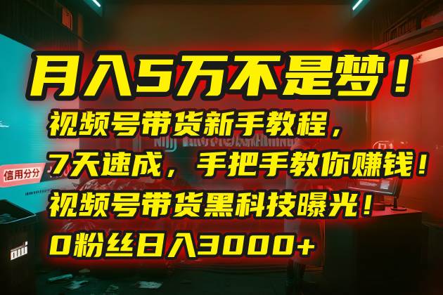 月入5万不是梦！视频号带货新手教程，7天速成，手把手教你赚钱！视频号…-徐小晨博客