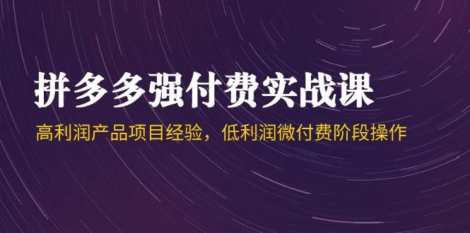 拼多多强付费实战课-44期，高利润产品项目经验，低利润微付费阶段操作-徐小晨博客