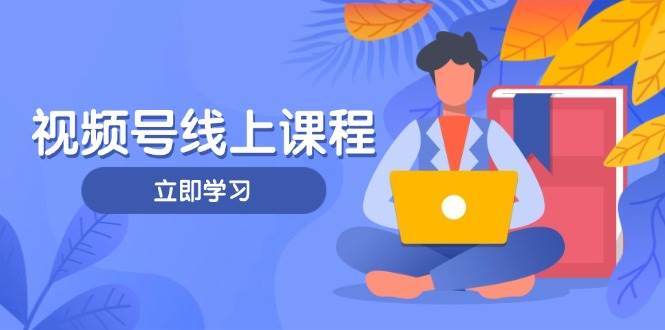 视频号实战课程，轻IP打造与运营技巧，掌握核心方法与策略-徐小晨博客